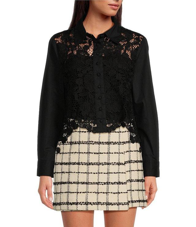 Mestiza New York Leon Poplin Panel Lace Point Collar Button Down Top Product Image