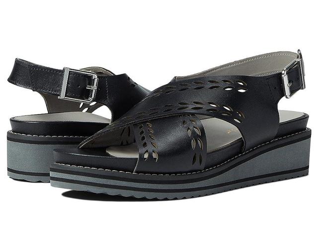 David Tate Fiji Calf) Women's Shoes Product Image