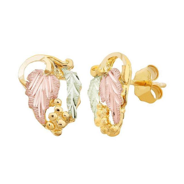 Black Hills Gold Tri-Tone Leaf Stud Earrings, Womens, 10k Gold Product Image