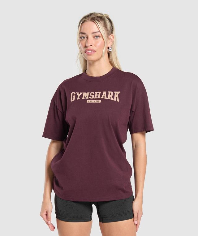 Collegiate Lifestyle Oversized T-Shirt Product Image