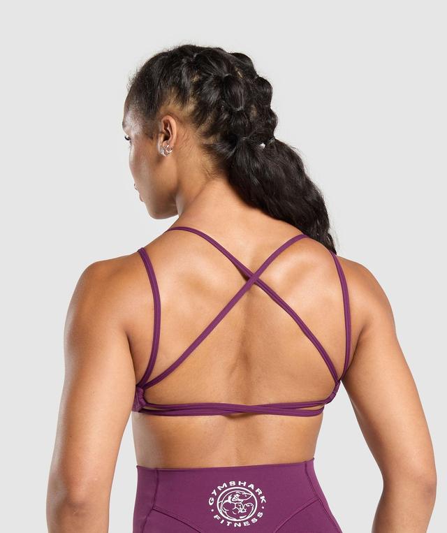 Legacy Bra Product Image