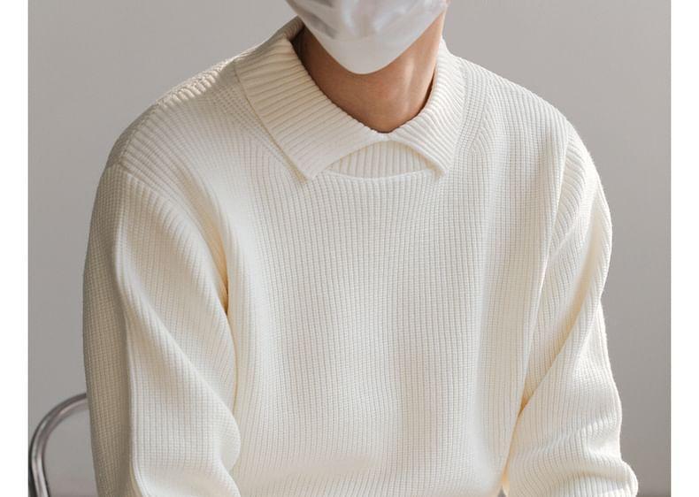 Crew Neck Plain Oversized Collared Sweater Product Image