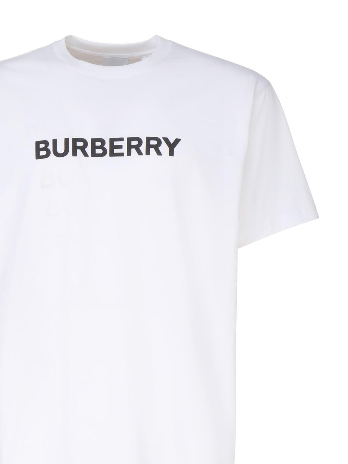 T-shirts And Polos In White Product Image