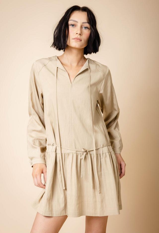 Rae Long Sleeve Pleated Mini Dress Product Image