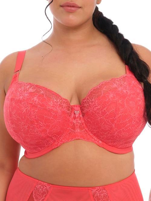 Elomi Brianna Padded Half Cup Scallop Lace Overlay Push Product Image