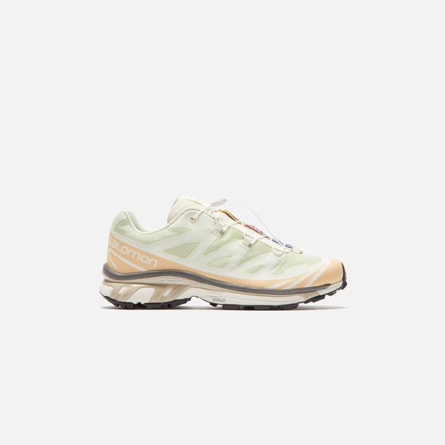 Salomon XT-6 - Aloe Wash / Hazelnut / Feather Gray Male Product Image