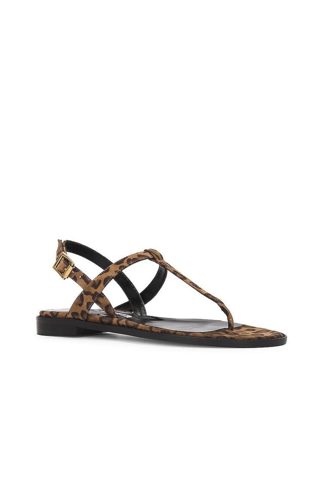 Manolo Blahnik Hata Suede Sandal in Brown Product Image