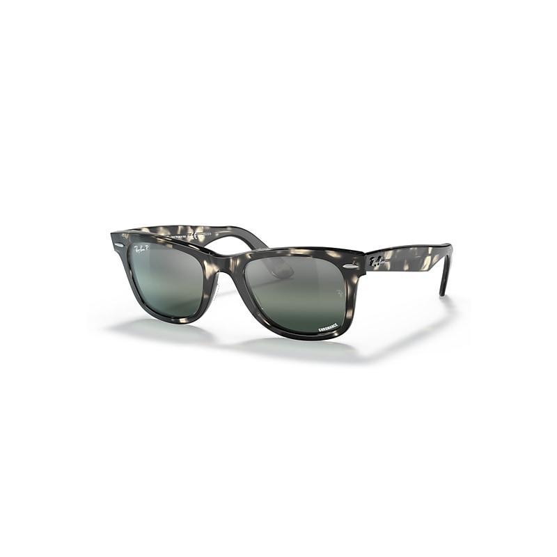 Womens Wayfarer Tortoiseshell Chromance Sunglasses Product Image