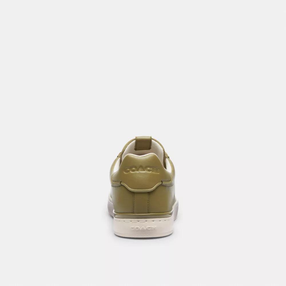 Lowline Low Top Sneaker Product Image