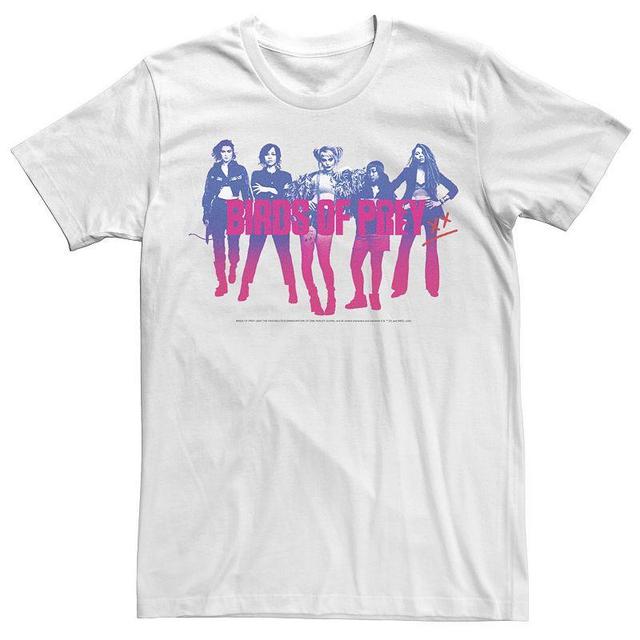 Mens Harley Quinn: Birds of Prey Gradient Girls Group Tee Product Image