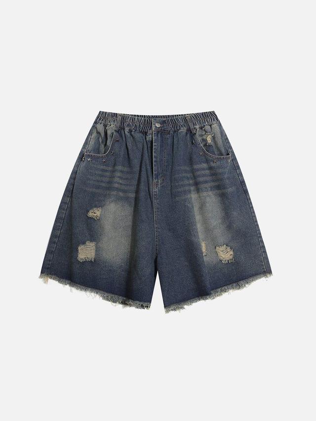 Aelfric Eden Distressed Washed Jorts Product Image