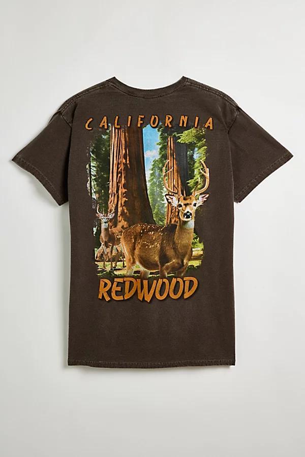 Redwood California Graphic Tee Mens at Urban Outfitters Product Image