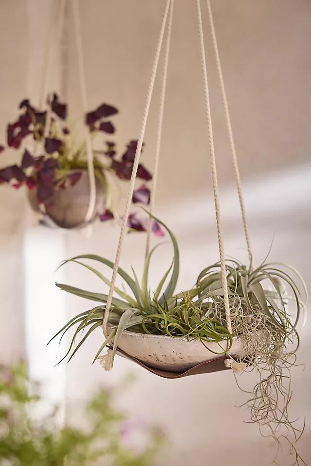 Leather Plant Hanger Product Image