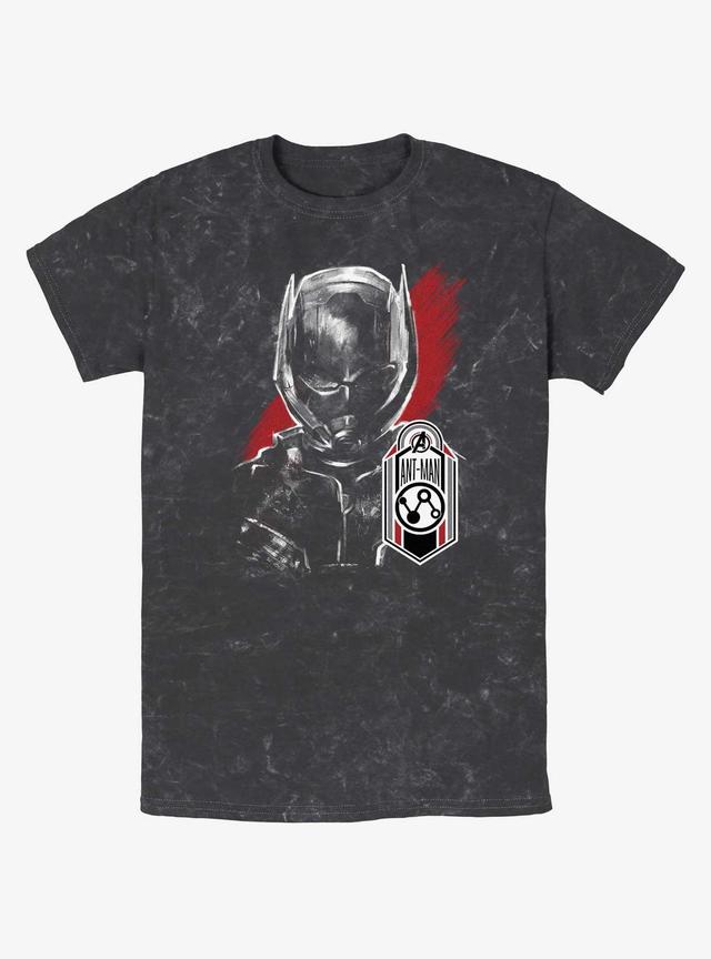 Marvel Ant-Man and the Wasp: Quantumania Antman Tag Mineral Wash T-Shirt Product Image