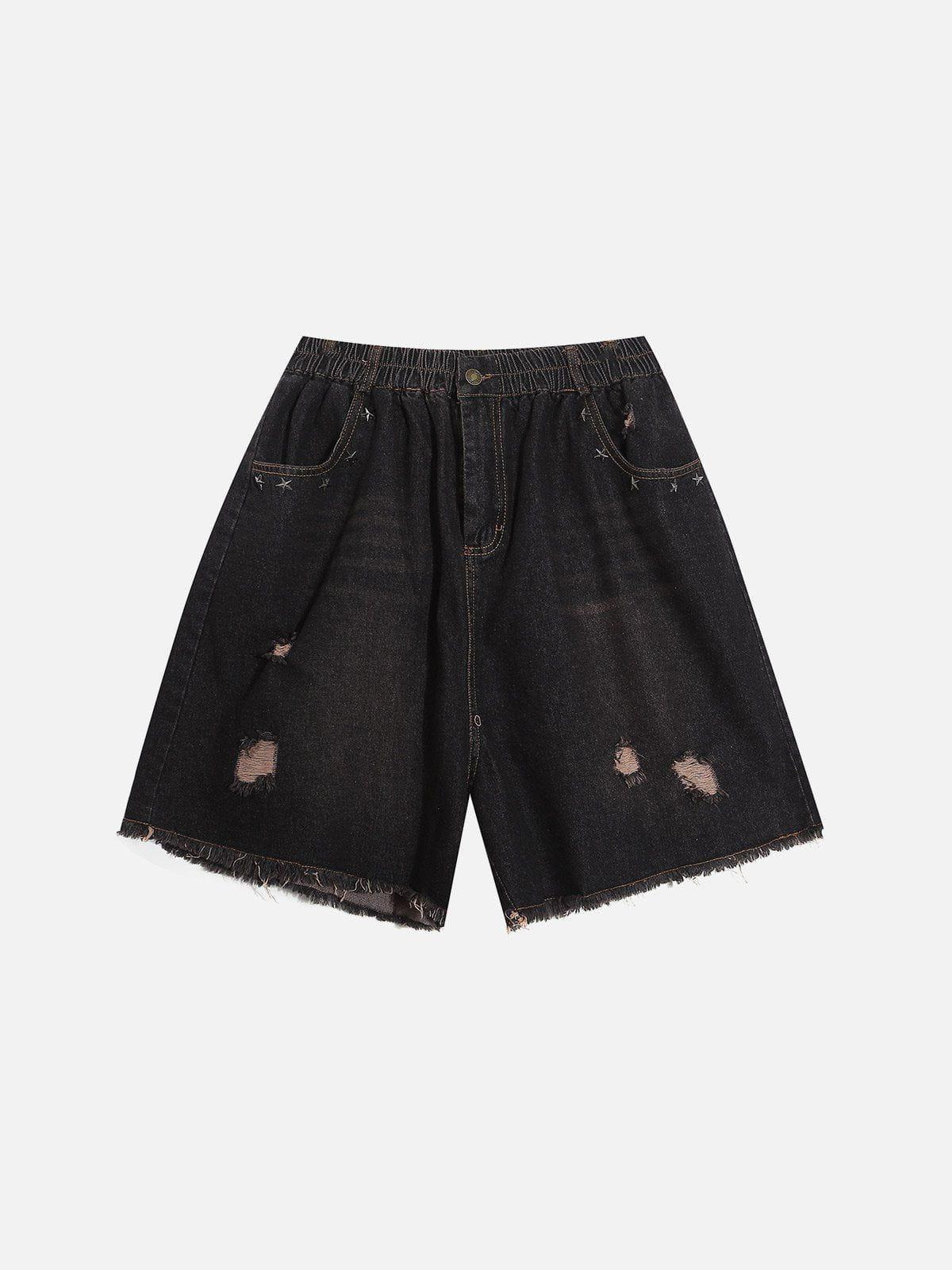 Aelfric Eden Distressed Washed Jorts Product Image