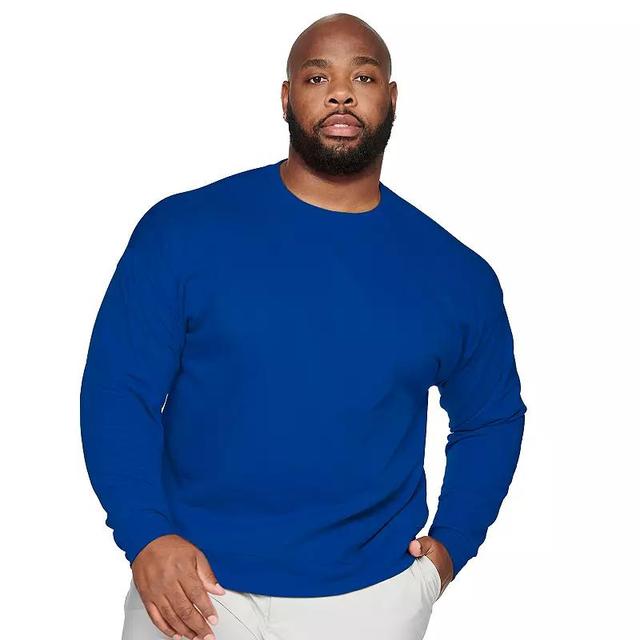 Big & Tall Hanes EcoSmart Fleece Sweatshirt, Mens Product Image