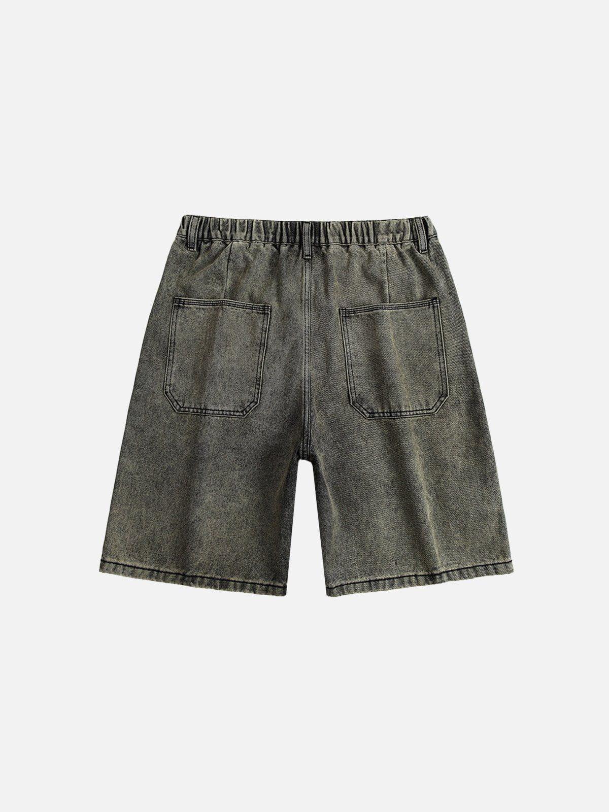 Aelfric Eden Washed Vintage Jorts Product Image