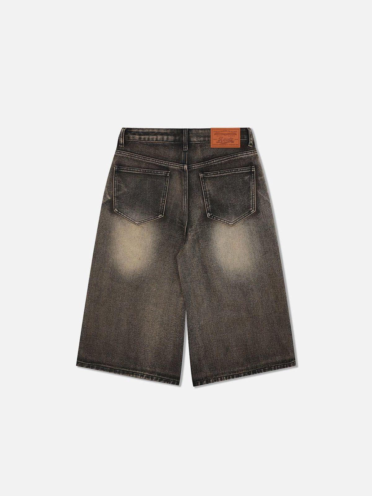 Aelfric Eden Vintage Washed Longline Jorts Product Image