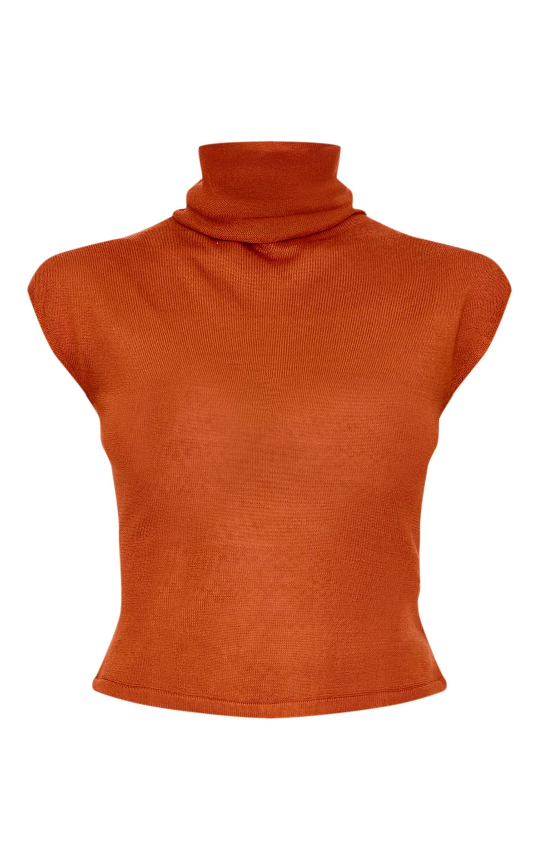 Rust Sheer Knit High Neck Top Product Image