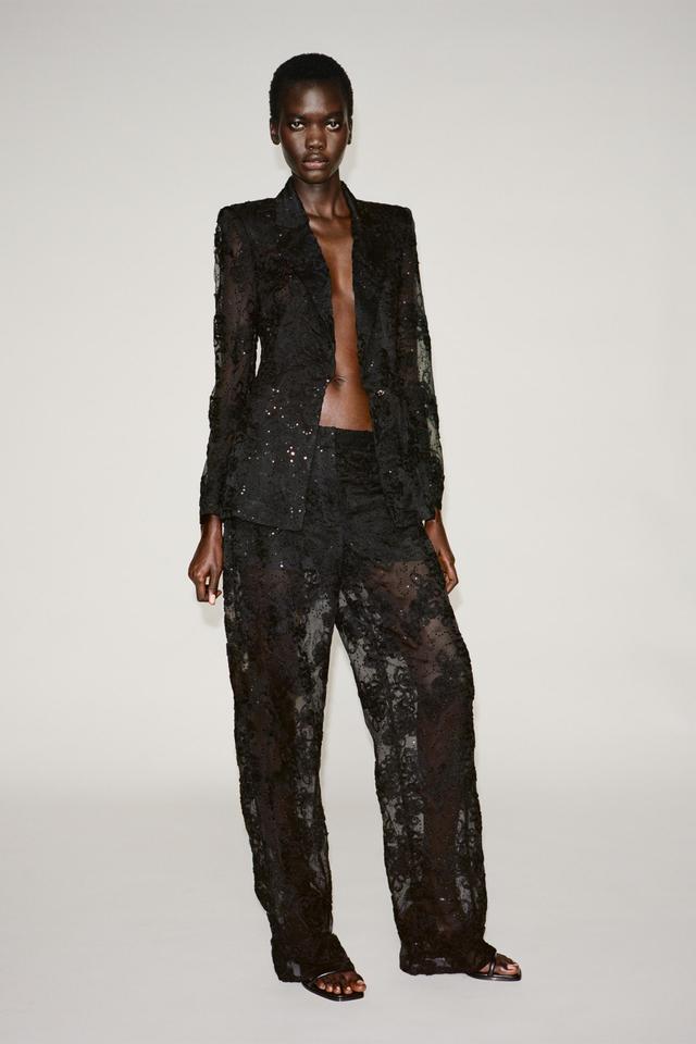 STRUCTURED SEQUINS SEMI-SHEER PANTS Product Image