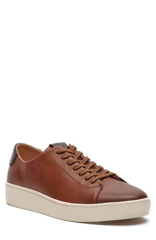 Vince Camuto Mens Hallman Sneaker Product Image