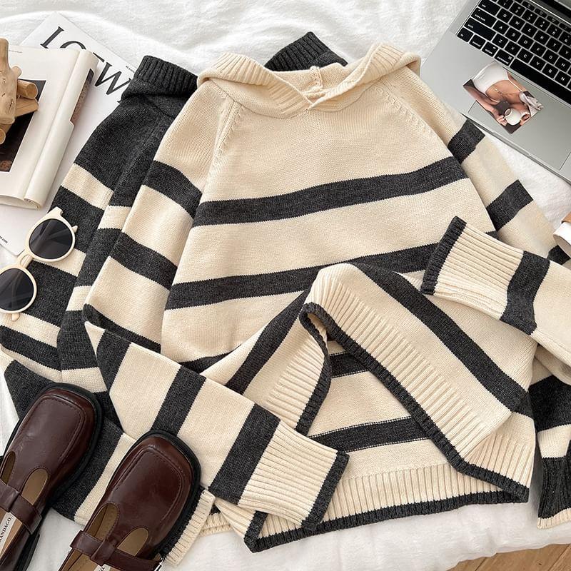 Striped Knit Hoodie Product Image