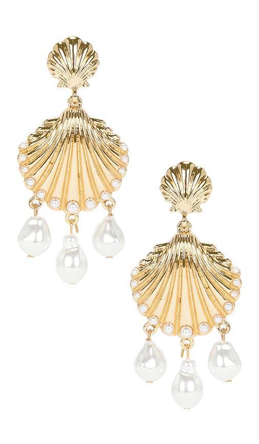 Pearl Shell Earrings Product Image