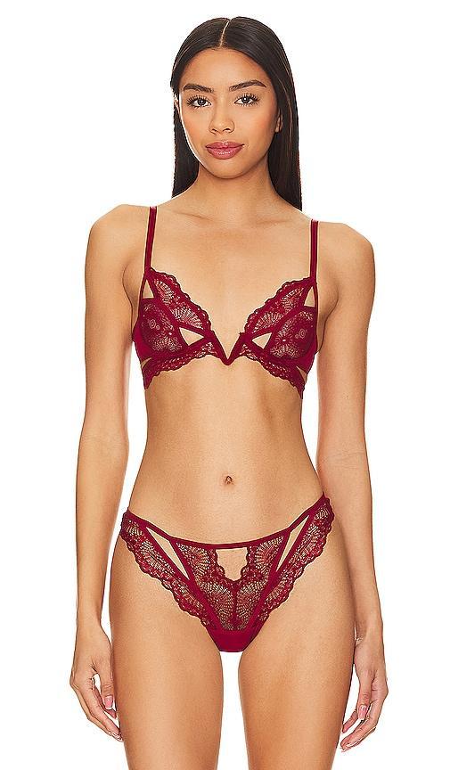 Thistle & Spire Kane V-Wire Lace Bra Product Image