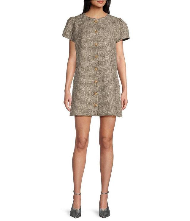 Abbey Glass Ellen Sparkle Tweed Round Neck Short Sleeve Mini A-Line Dress Product Image