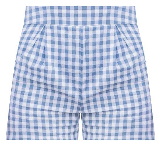 Conscious Reason Blue Gingham Shorts FINAL SALE Product Image