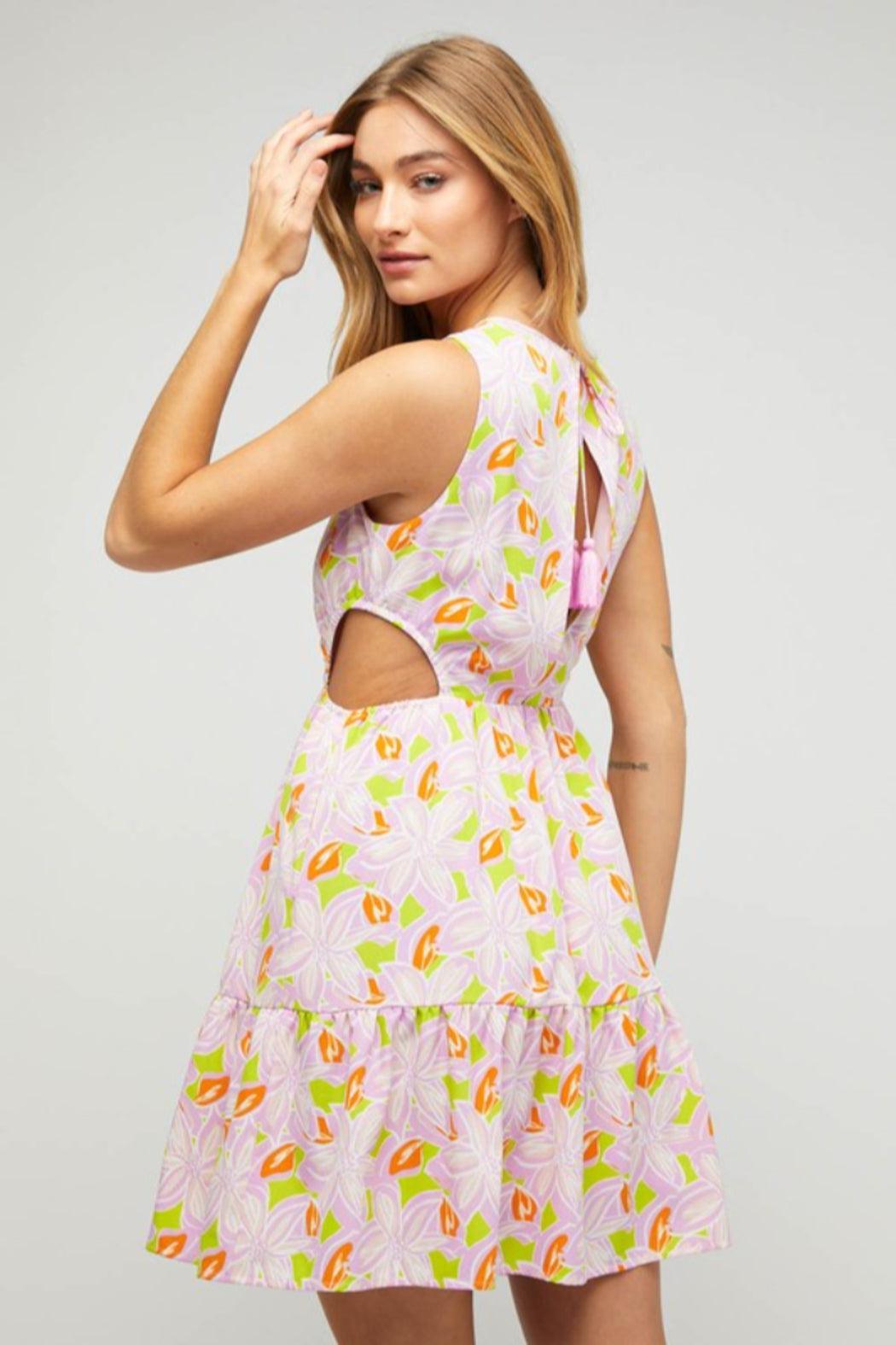 Vacay Vixen dress Product Image