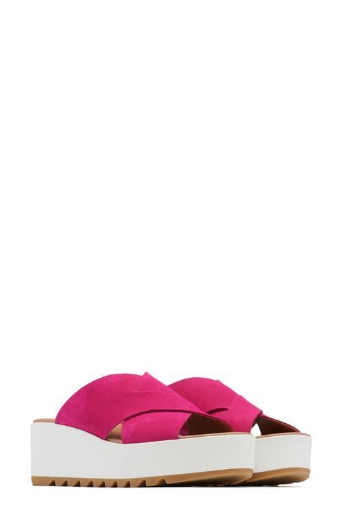 SOREL Cameron Flatform Mule (Fuchsia Fizz/Sea Salt) Women's Clog/Mule Shoes Product Image