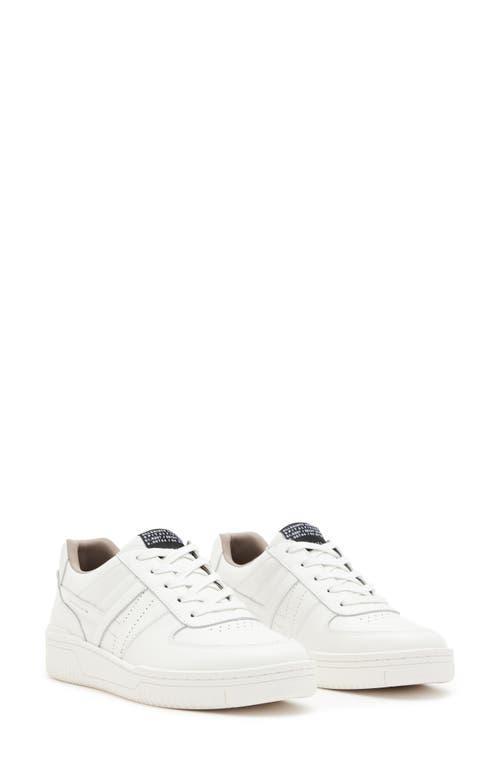 AllSaints Vix Low Top Sneaker Product Image