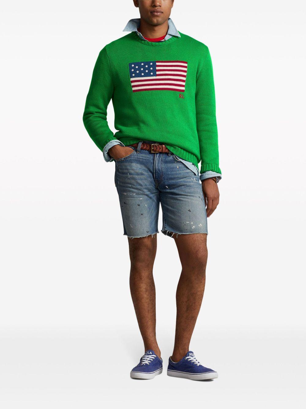 Iconic Embroidery Sweater In Green Product Image