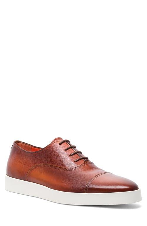 Santoni Behemoth Leather Sneaker Product Image