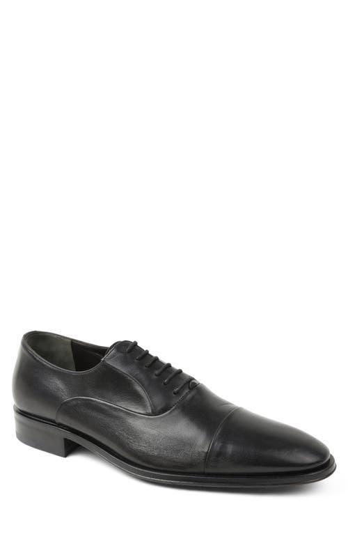 Bruno Magli Mens Maioco Cap Toe Oxfords - Regular Product Image