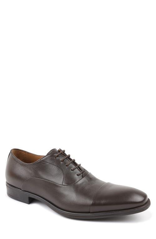 Bruno Magli Locascio Cap Toe Oxford Product Image