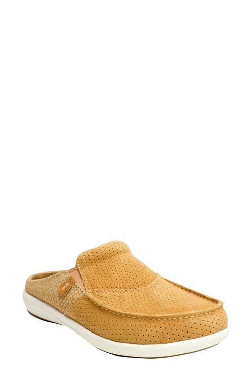 Revitalign Siesta Orthotic Clog Sneaker Product Image