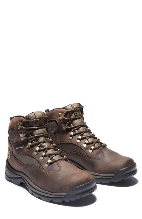 Timberland Mens Timberland Chocorua Trail - Mens Shoes Brown/Green Product Image