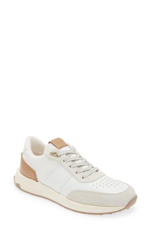 Tods Two-Tone Leather Sneaker Product Image