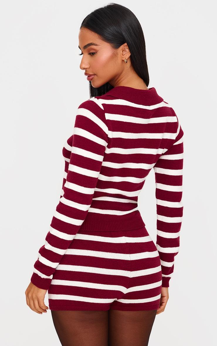 Petite Burgundy Knitted Stripe Collar Detail Long Sleeve Top Product Image