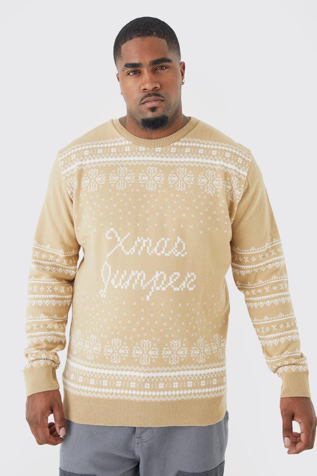 Plus Regular Fit Xmas Sweater | boohooMAN USA Product Image