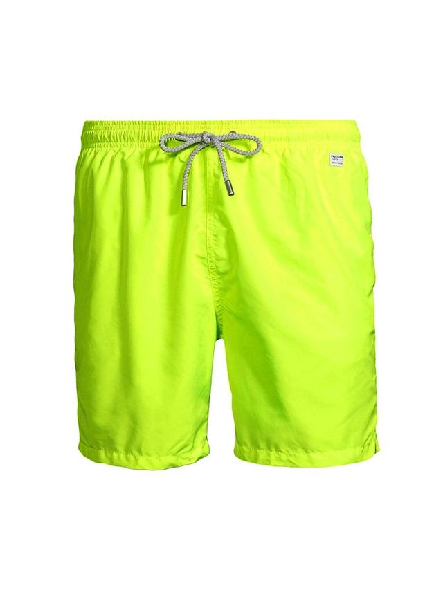 Mens Lighting Pantone Swim Shorts Product Image