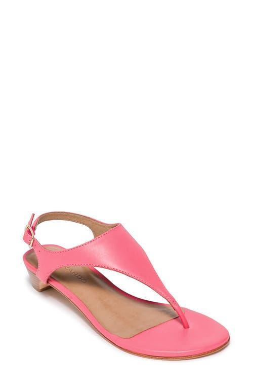 Womens Goldy Leather Demi Heel Sandals Product Image