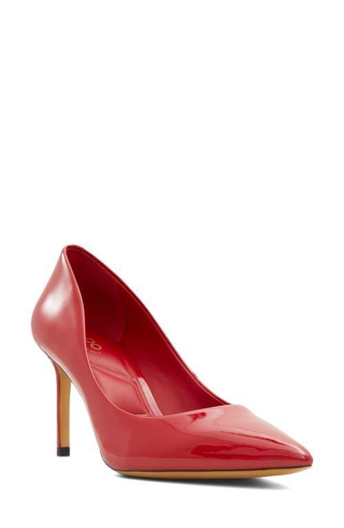 ALDO Stessy Pointed Toe Pump Product Image