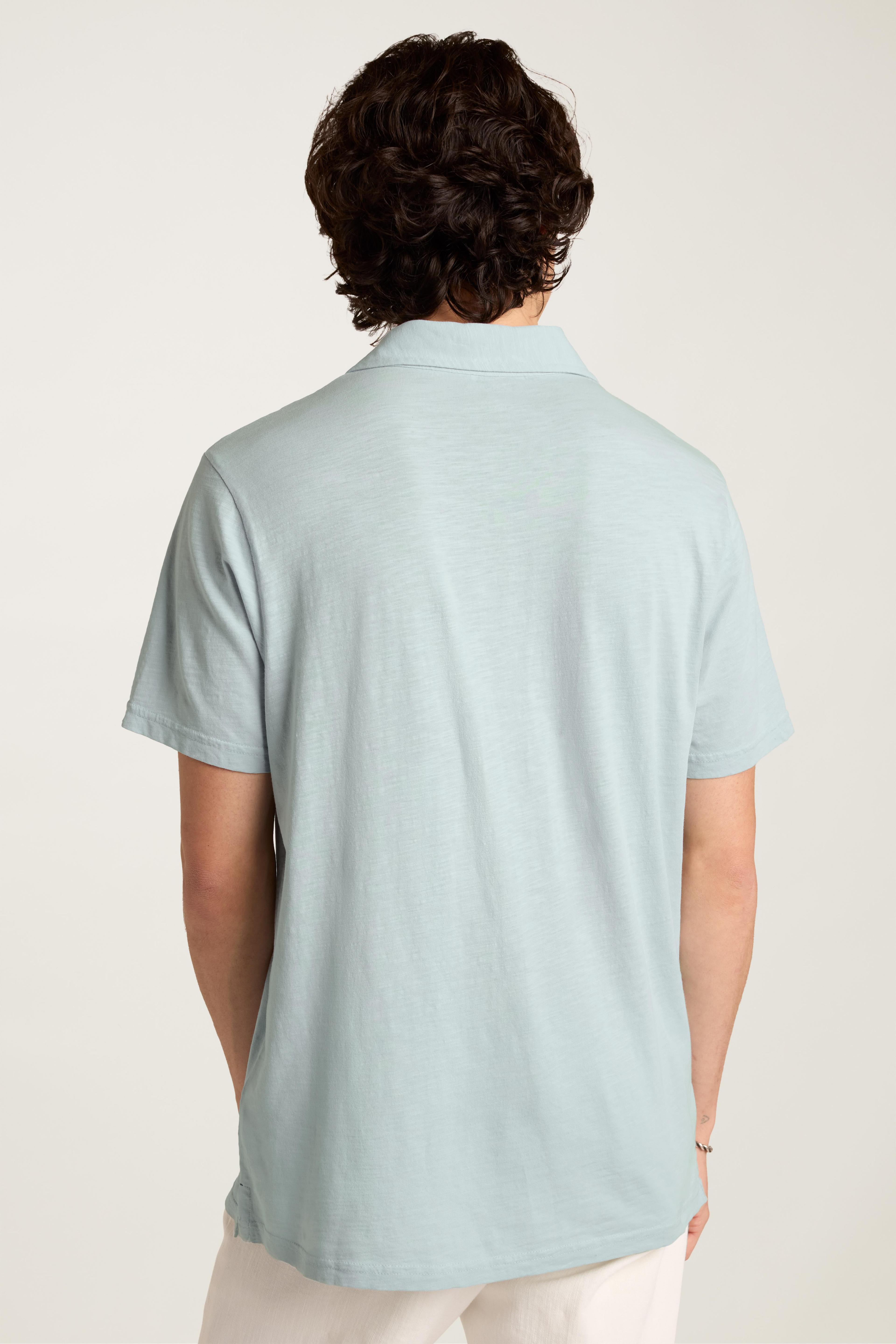 Sun Faded Polo Product Image