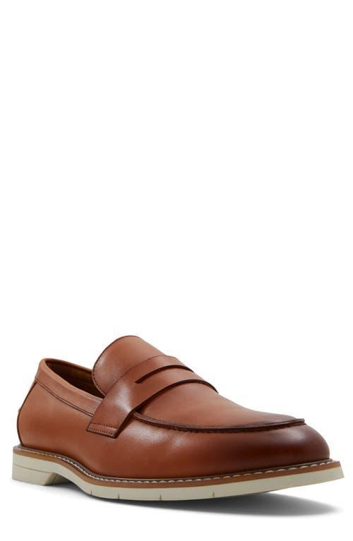 ALDO Zadar Penny Loafer Product Image