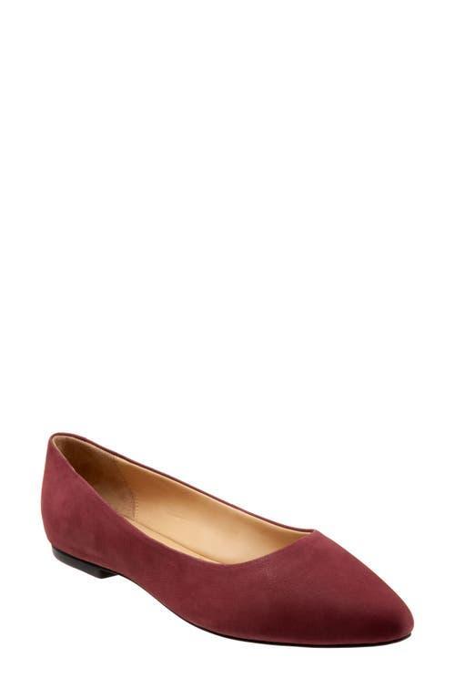 Trotters Estee Ballet Flat Product Image