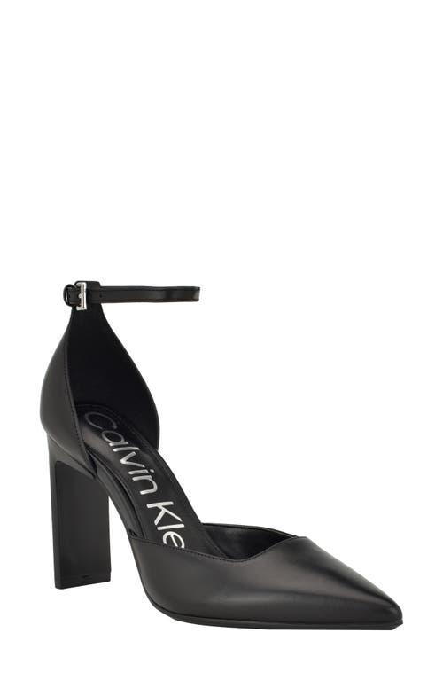 Calvin Klein Carcie Pointed Toe Pump Product Image