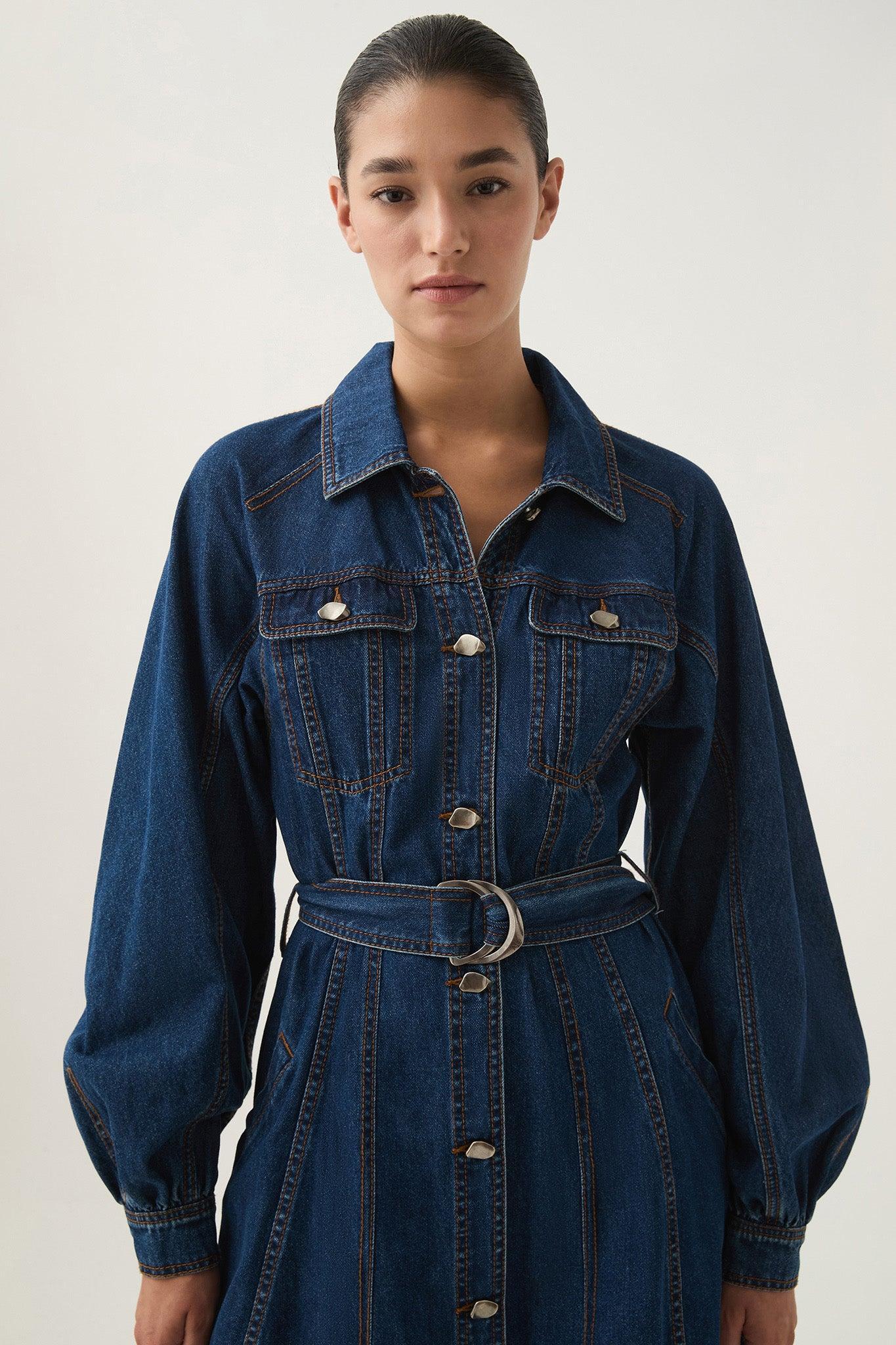 Colorado Denim Mini Dress Product Image